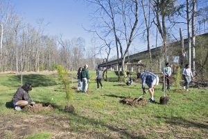 Campus Tree Planting