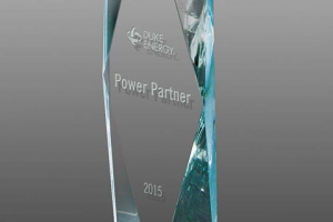 Duke Energy Award sample
