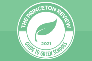Princeton Review Guide Logo