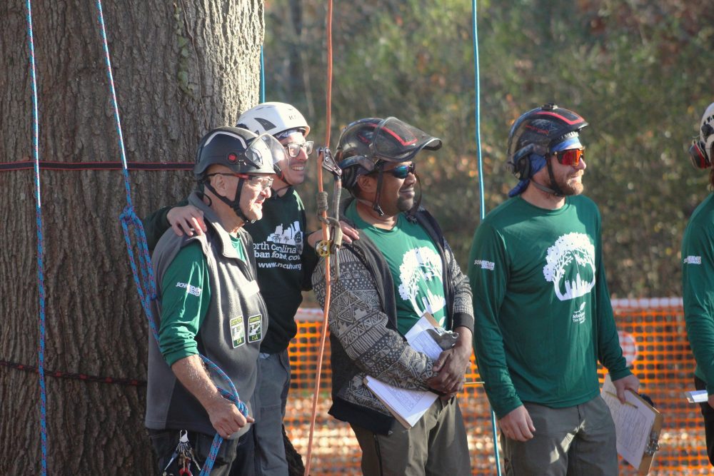 Tree Climbing Competition